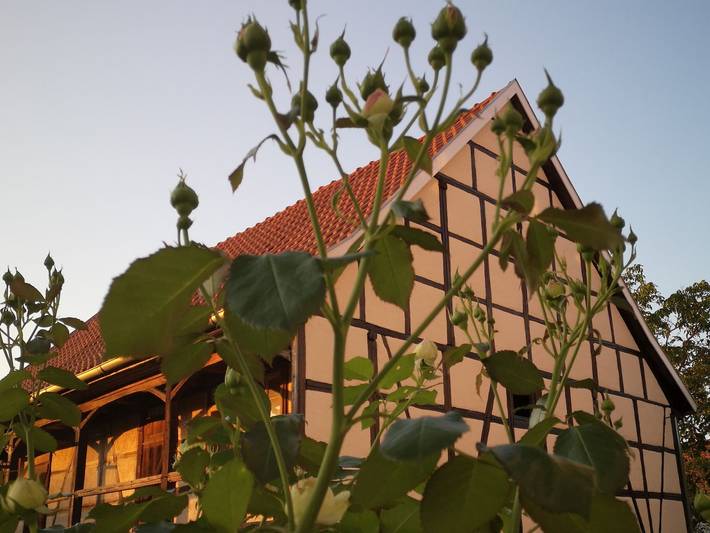 Ganze Ferienwohnung, Altes Standesamt Weißensee - Ferienwohnung, 100qm, 2 Schlafzimmer, max. 5 Erwachsene + 1 Kind in Thüringer Kernland