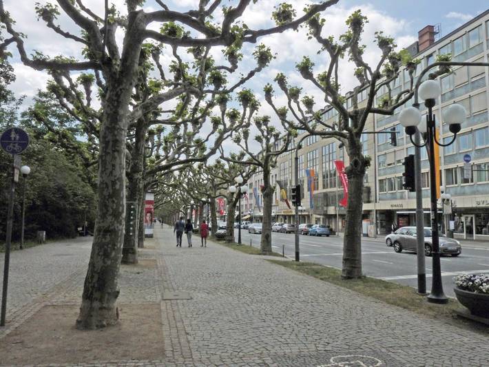 Ferienwohnung für 3 Personen, mit Balkon und Ausblick in Wiesbaden - 2