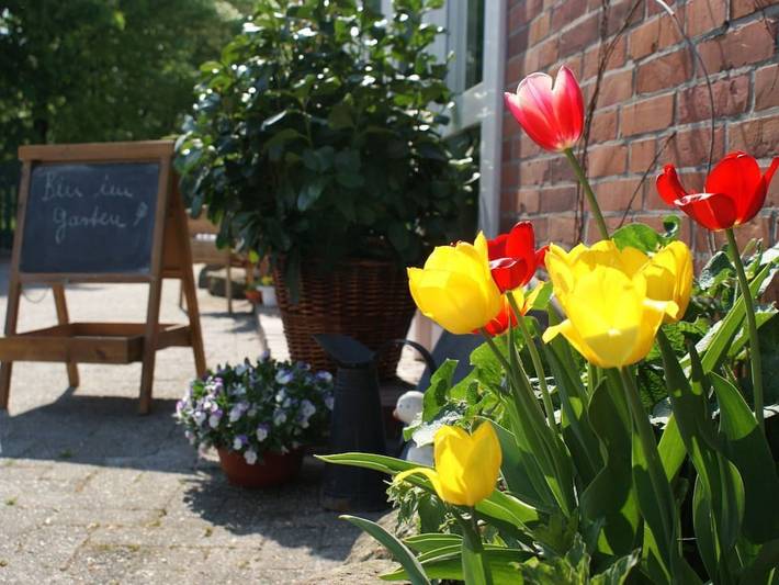 Gemütliche Ferienwohnung mit Terrasse und Küche, in der Nähe der Sehenswürdigkeiten von Großefehn in Großefehn, Landkreis Aurich