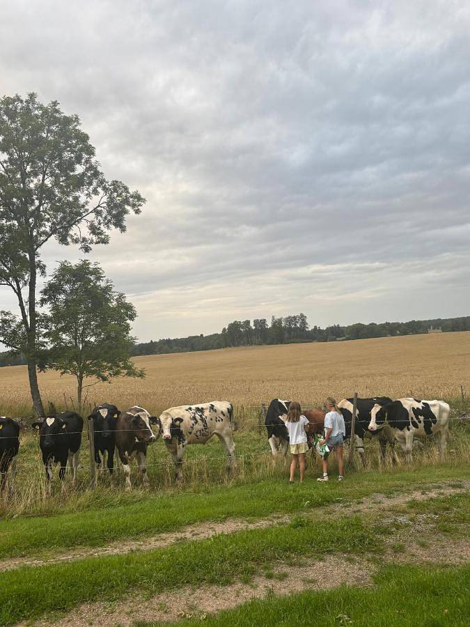 Sjötorps säteris stugby in Vara, Västergötland