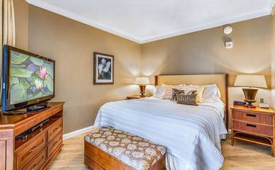 Beach Rental for 4 Guests in Kaanapali, West Maui, Picture 1