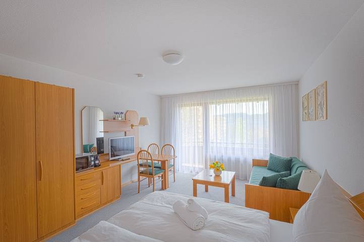 Hel enrumslägenhet, Studio Apartment 'Schneckenhalde' with Mountain View, Balcony and Wi-Fi in Bad Säckingen, Südschwarzwald