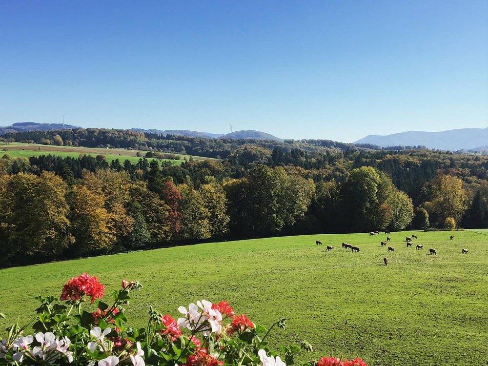 Stabhalterhof - Tennenbach in Freiamt, Südschwarzwald