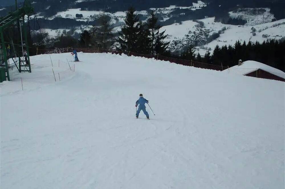 Geheel appartement, Appartement 'Appartement Sous Berthet - 4 Pers' met Uitzicht op de Bergen, Balkon en Wifi in Habère-Poche, Thonon-les-Bains en omgeving