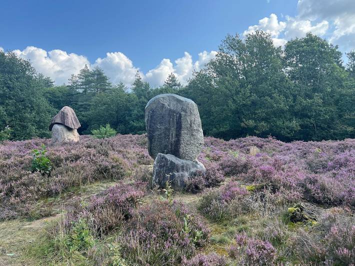 Ferienhaus für 4 Personen, mit Garten, mit Haustier in den Niederlande - 3