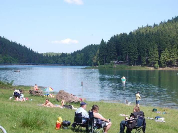 Ferienhaus für 10 Personen, mit Garten und Terrasse sowie Sauna, mit Haustier im Thüringer Wald - 2
