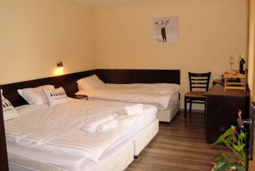 Gîte pour 3 personnes, avec jardin, animaux acceptés dans Bansko