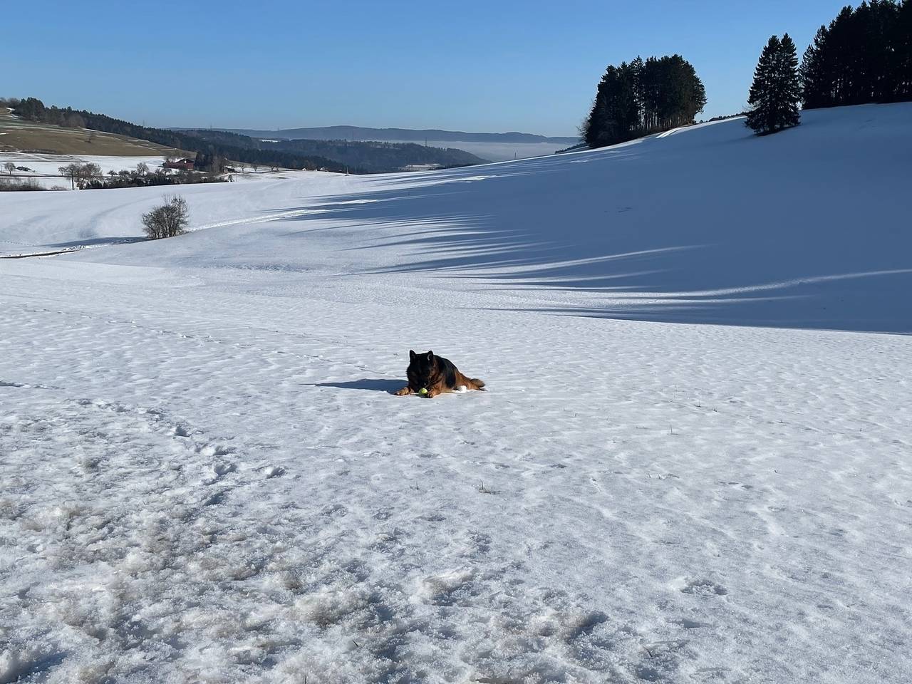 Greenholidays in Bonndorf im Schwarzwald, Südschwarzwald