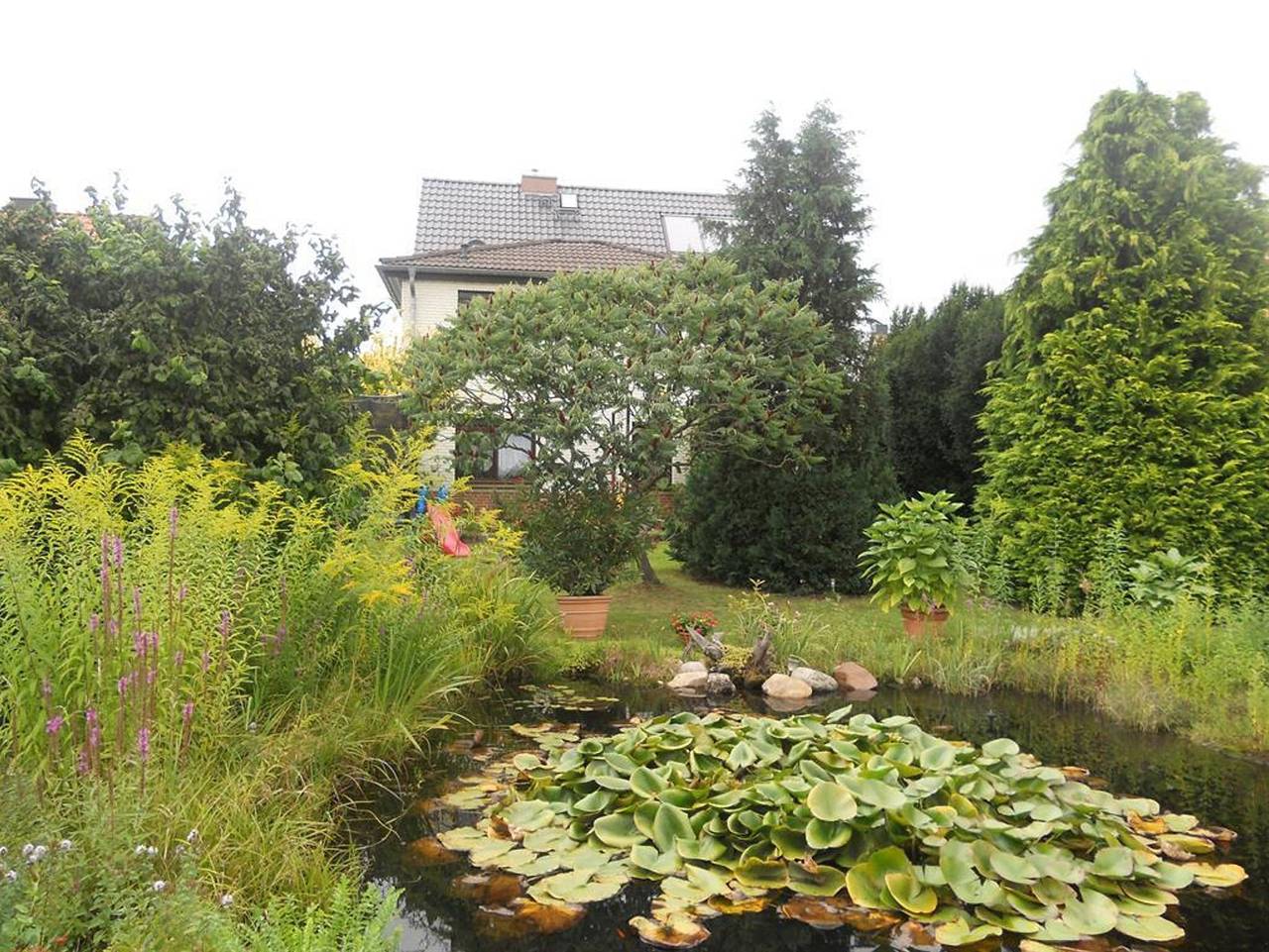 Ganze Ferienwohnung, Gästehaus unter den Weinbergen - Appartement/Fewo, Dusche, Wc in Laucha an der Unstrut, Saale-Unstrut