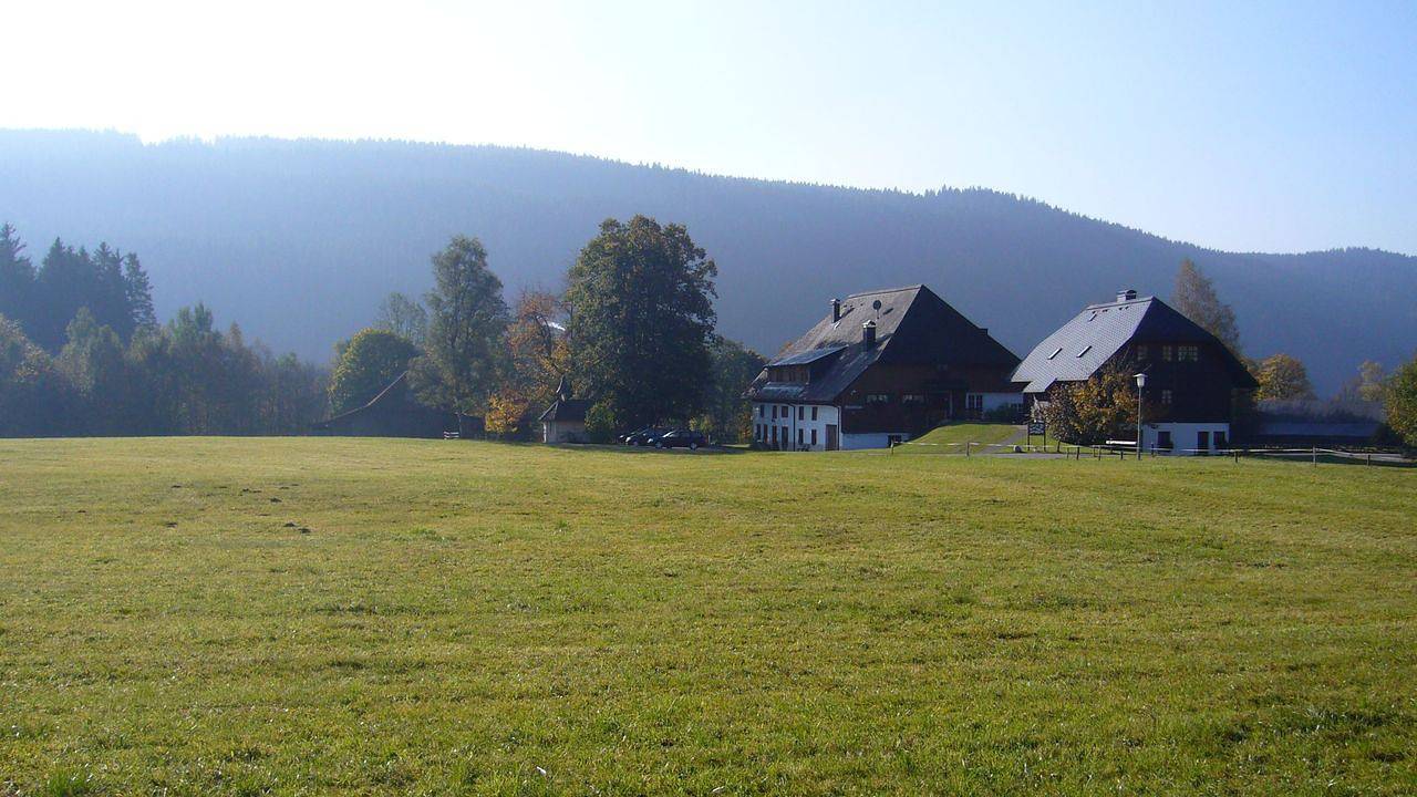 Ganze Ferienwohnung, Ferienwohnung für 3 Personen (45 m²) in Titisee-Neustadt in Suedlicher Schwarzwald, Titisee-Neustadt