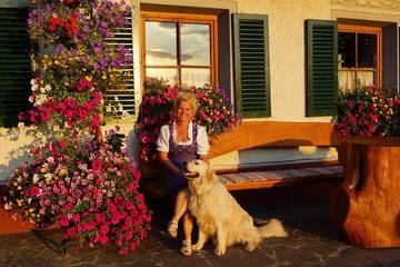 Pension für 4 Personen in Sankt Johann in Tirol, Hohe Salve, Bild 2