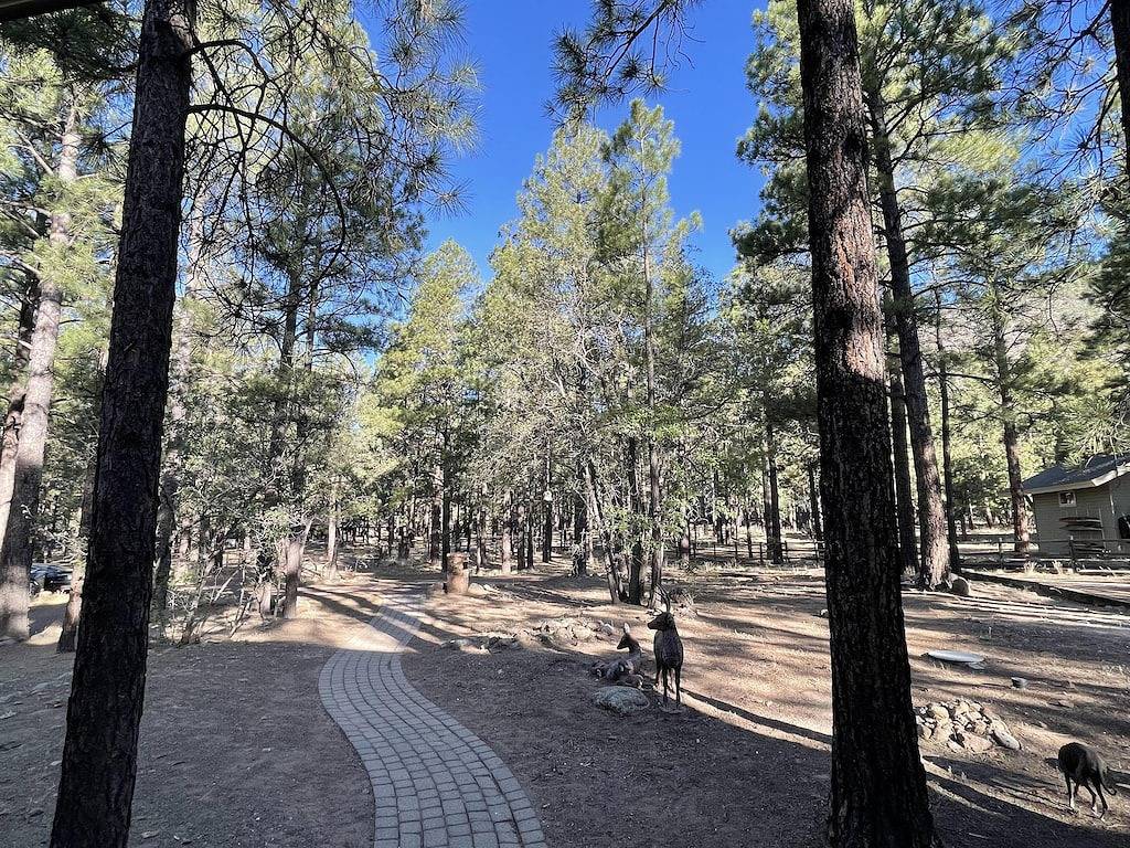 Relax in style at a luxury Flagstaff lodge in Coconino Nationalwald