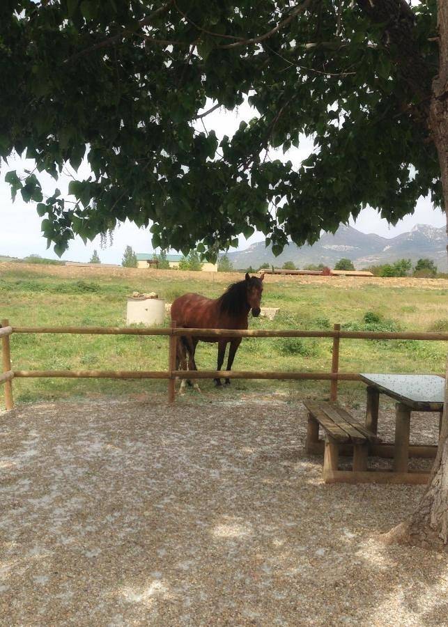 Casa rural para 11 personas, con jardín y vistas en Hoya de Huesca - 3