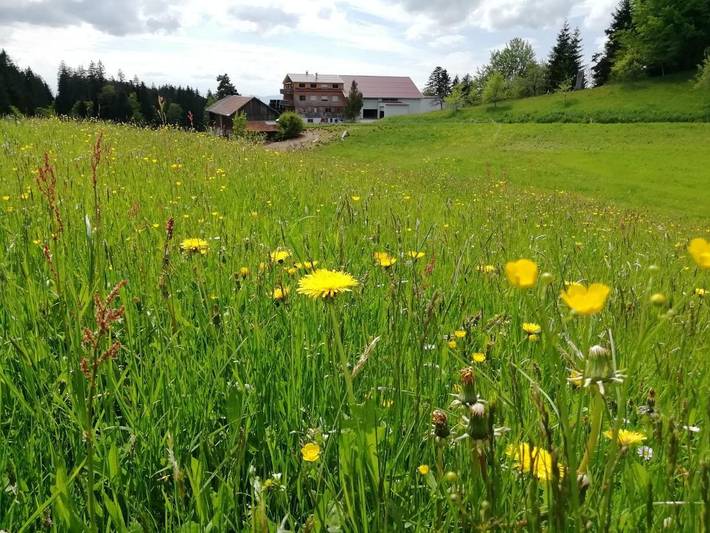 Ferienwohnung für 6 Personen, mit Balkon und Garten sowie Ausblick in Sulzberg (Österreich)