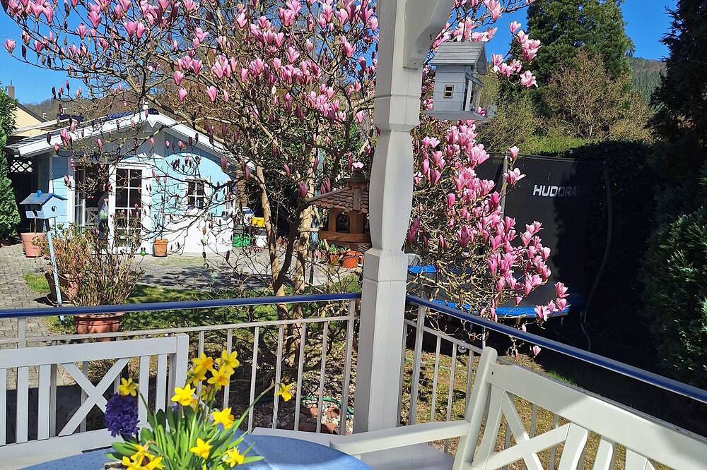 Ganze Wohnung, Ferienwohnung in Miltenberg gehobene Ausstattung mit Dachterrasse Südseite in Miltenberg, Spessart-Mainland