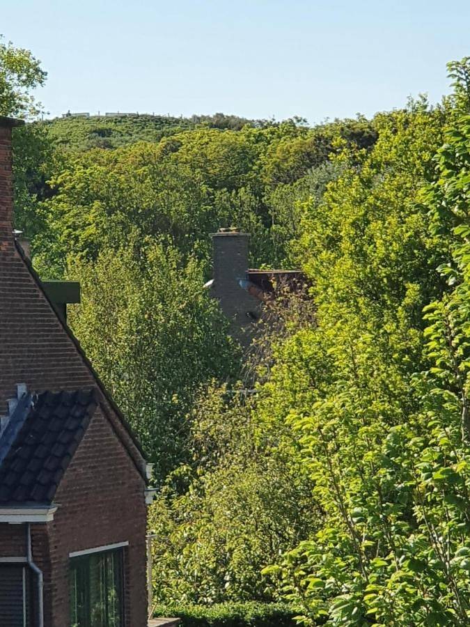 King Room with Garden View in Kijkduin, La Haye