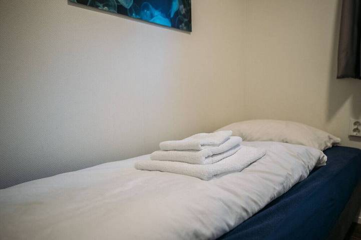 Ferienhaus für 4 Personen, mit Pool und Terrasse sowie Garten, mit Haustier in Arnheim - 3