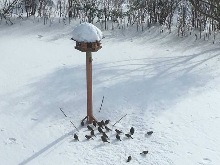 Ferienwohnung für 3 Personen, mit Seeblick und Sauna sowie Garten in Nationalpark Vorpommersche Boddenlandschaft - 3