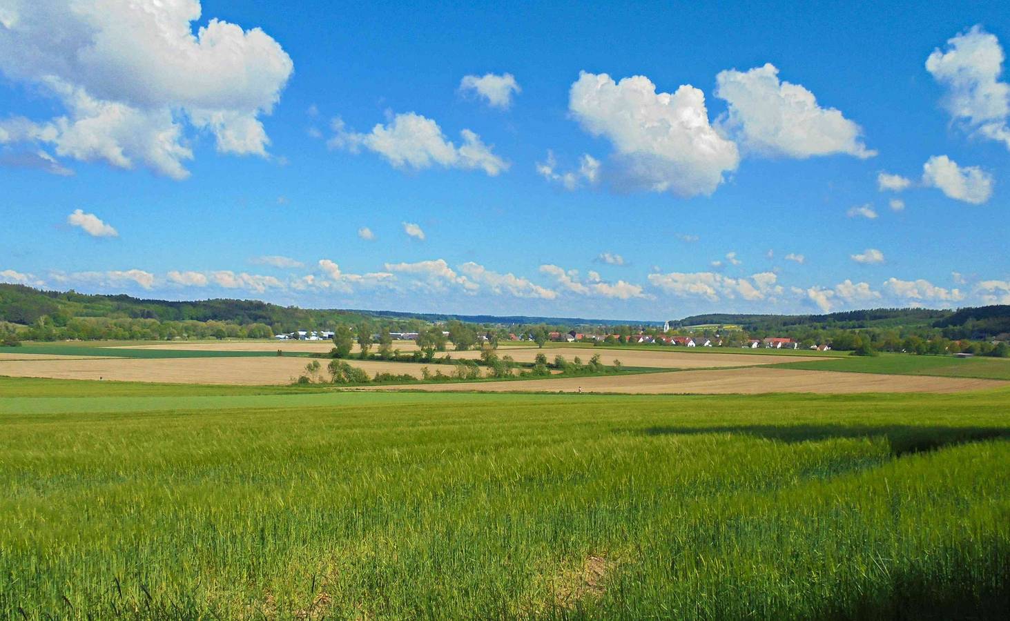 Ferienwohnung im Barockwinkel in Neuburg a.d.Kammel, Bayerisch Schwaben