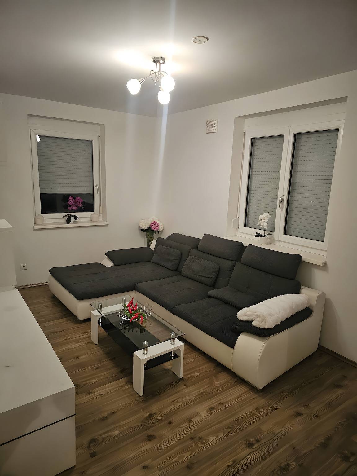 Ganze Wohnung, Ferienwohnung 'Christian' mit Balkon und Wi-Fi in Südburgenland