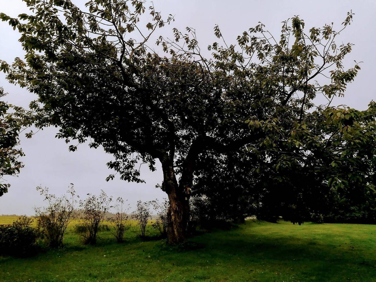 10 Personen Ferienhaus in Løkken-By Traum in Løkken, Hjørring und Umgebung