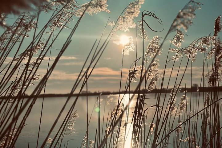 Ferienhaus für 2 Personen, mit Garten, mit Haustier in Südbrookmerland