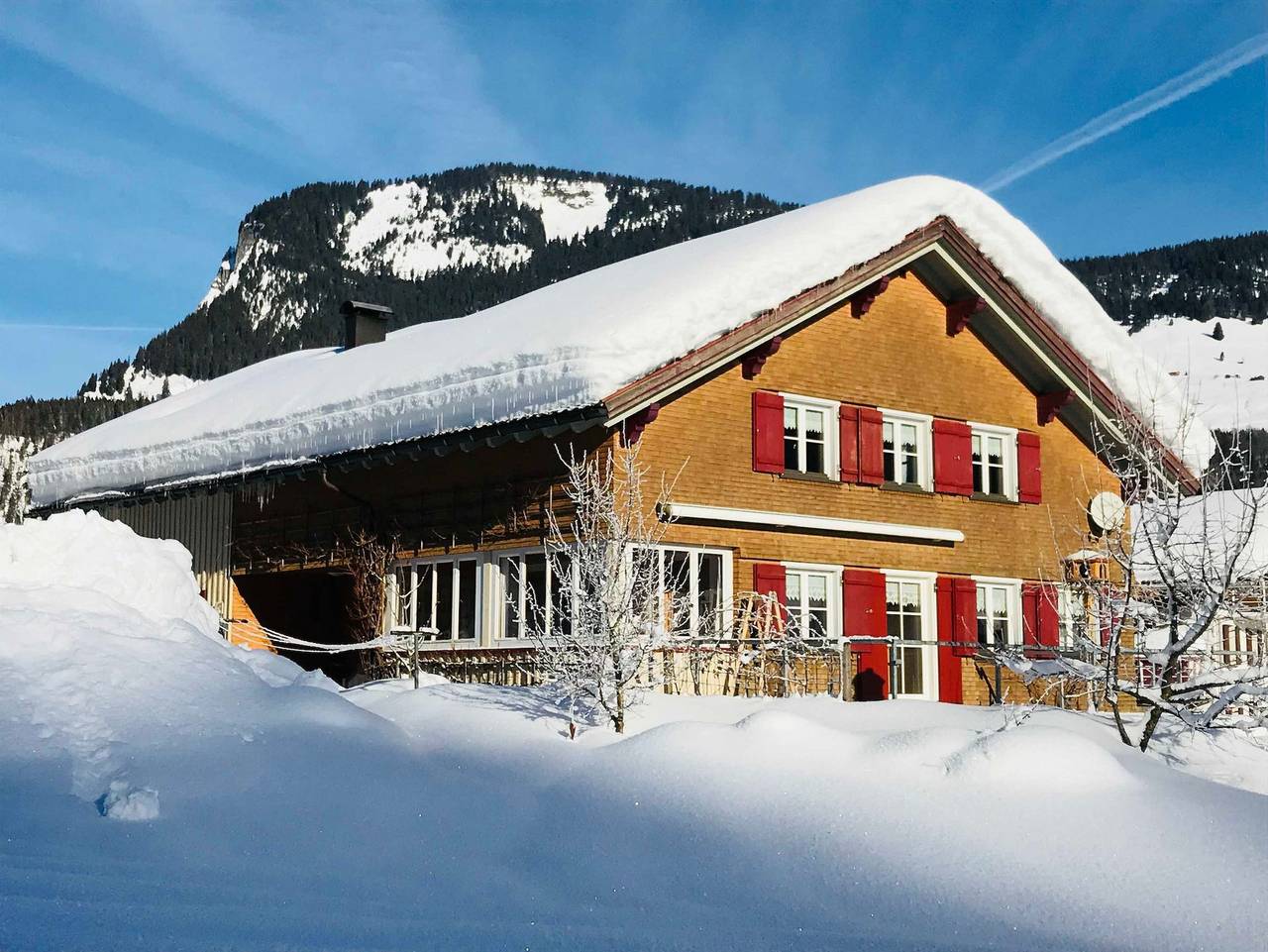 Ganze Ferienwohnung, Haus Stabentheiner - Ferienwohnung Kanisblick in Au, Bregenzerwald