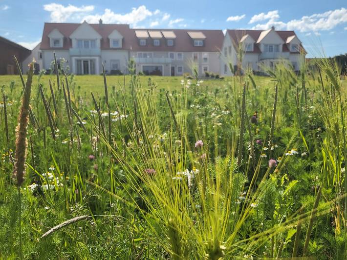 Bauernhof für 2 Personen, mit Sauna und Pool sowie Garten - 1