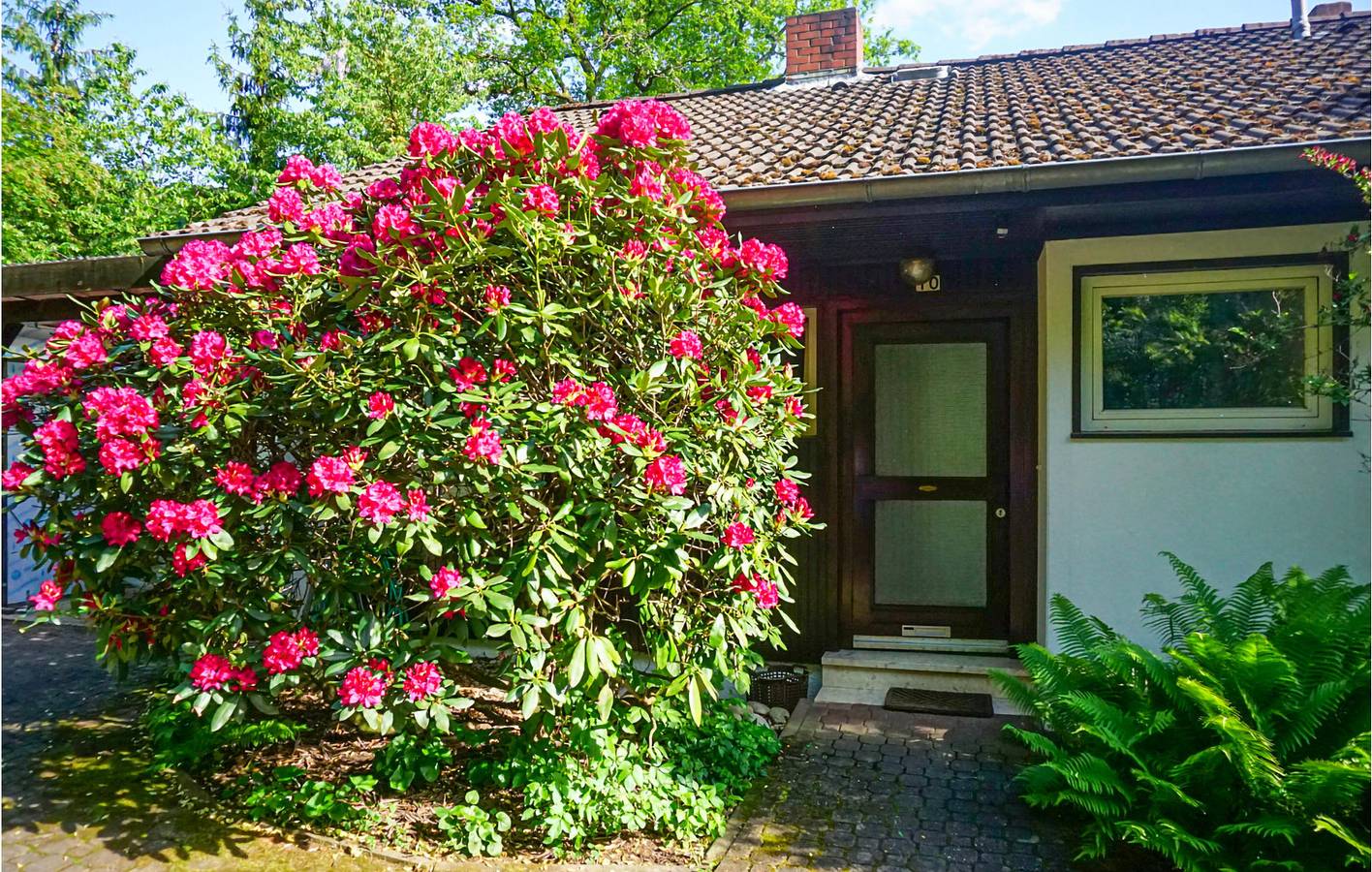 Ganze Ferienwohnung, Geräumige Wohnung bei Hinterweidenthal in Hinterweidenthal, Pfalz