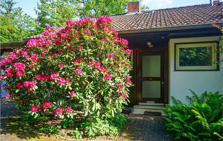 Ganze Ferienwohnung, Geräumige Wohnung bei Hinterweidenthal in Hinterweidenthal, Landkreis Südwestpfalz