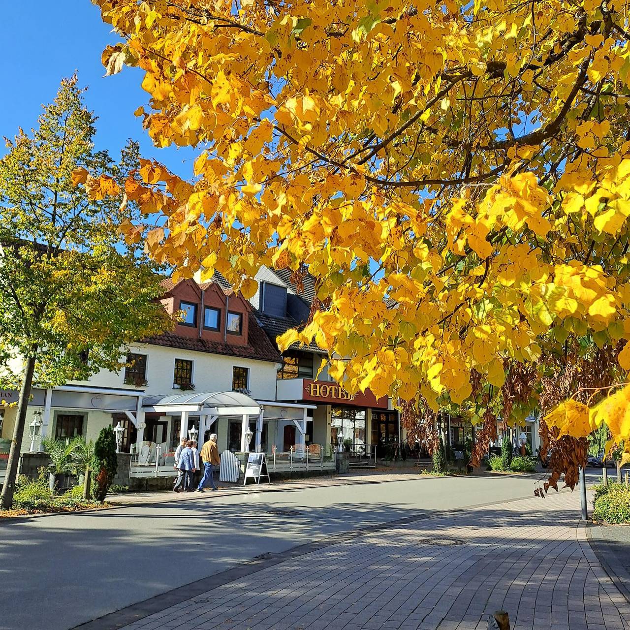 Akzent Hotel Jonathan - Suite, 35 qm, max. 2 Personen in Bad Waldliesborn, Lippstadt
