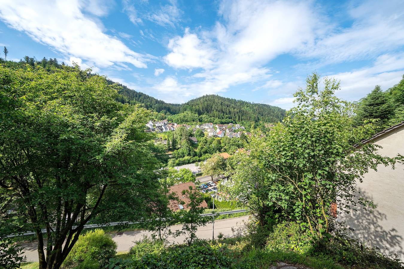 Ganze Wohnung, Ferienwohnung 'Am Lehen' mit Bergblick, privater Terrasse und Wi-Fi in Schiltach, Kinzigtal