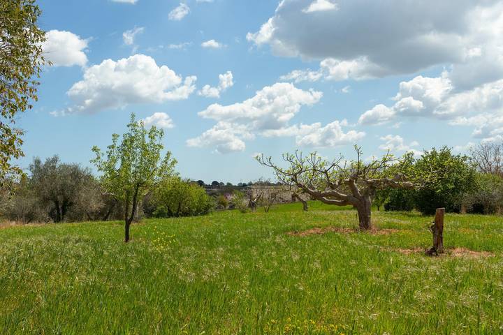 Ferienhaus für 4 Personen, mit Garten in Italien - 4