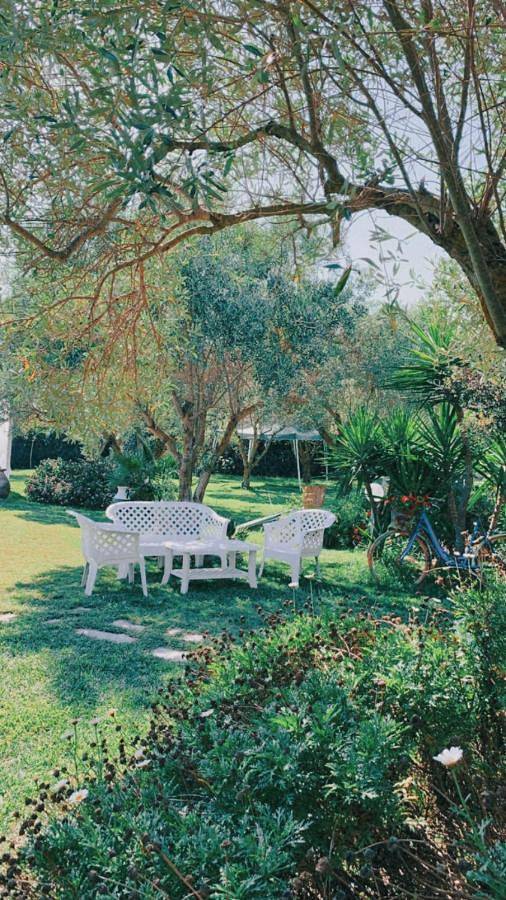 Chambre d’hôte pour 4 personnes, avec piscine et jardin ainsi que vue et terrasse à Oristano - 2