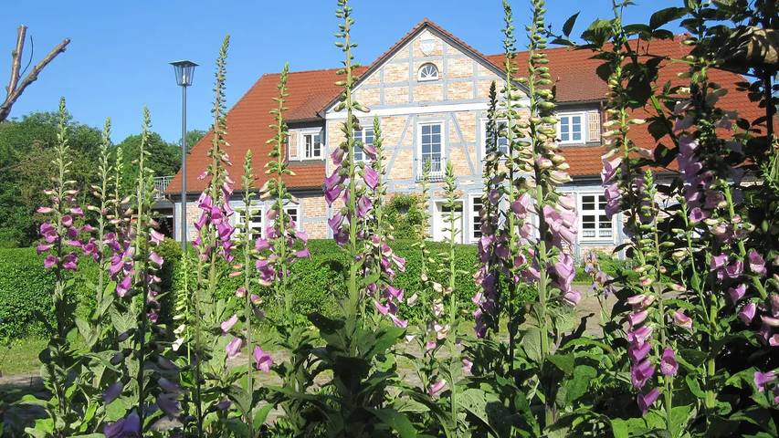 Holiday apartment for 2 people, with garden - 1