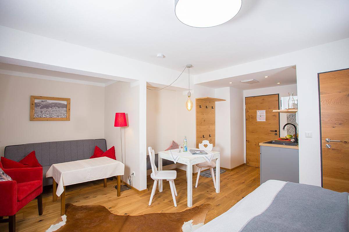 Ganze Ferienwohnung, 1-Raum Appartement Nr. 11 West-Balkon in Hirschegg Kleinwalsertal, Mittelberg
