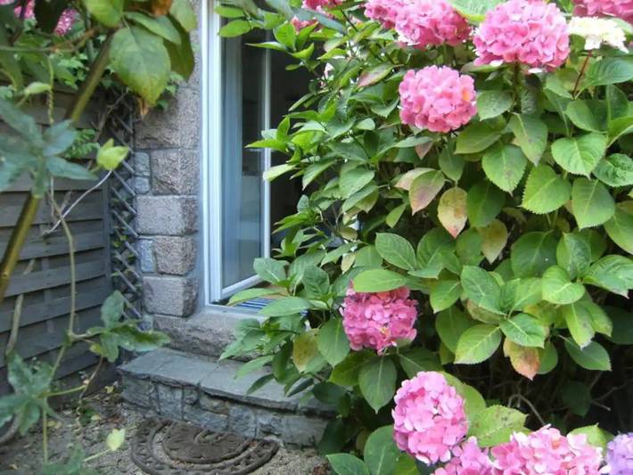 Gîte pour 2 personnes, avec jardin dans Plage Tourony - 3