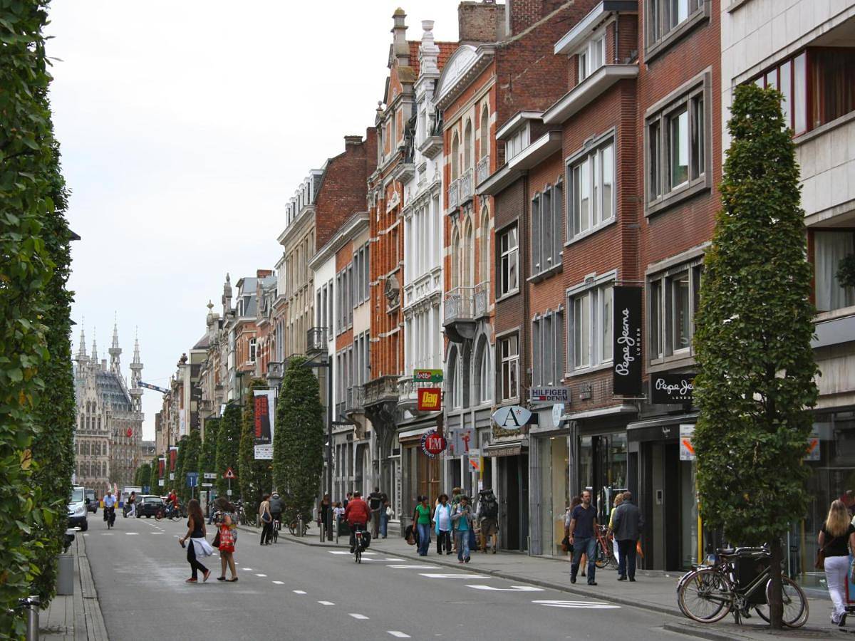 Appartement entier, Large One-Bedroom Apartment in Louvain, Brabant flamand