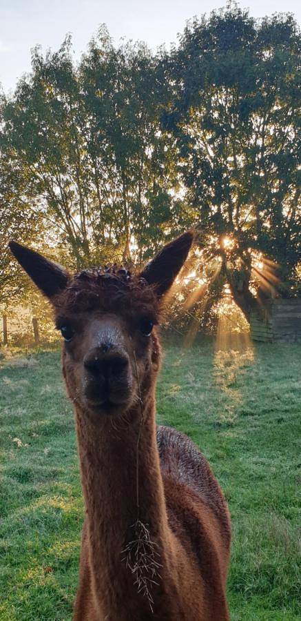 Aux murmures de la nature B&B in Honfleur, Lisieux en omgeving