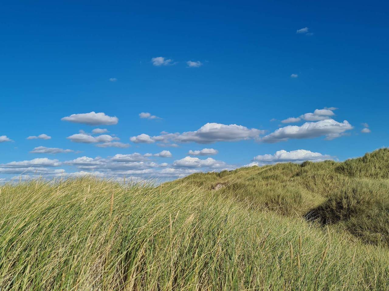 Luxurioses Strandrefugium -- By Traum Ferienwohnungen in Rødhus, Jammerbugt