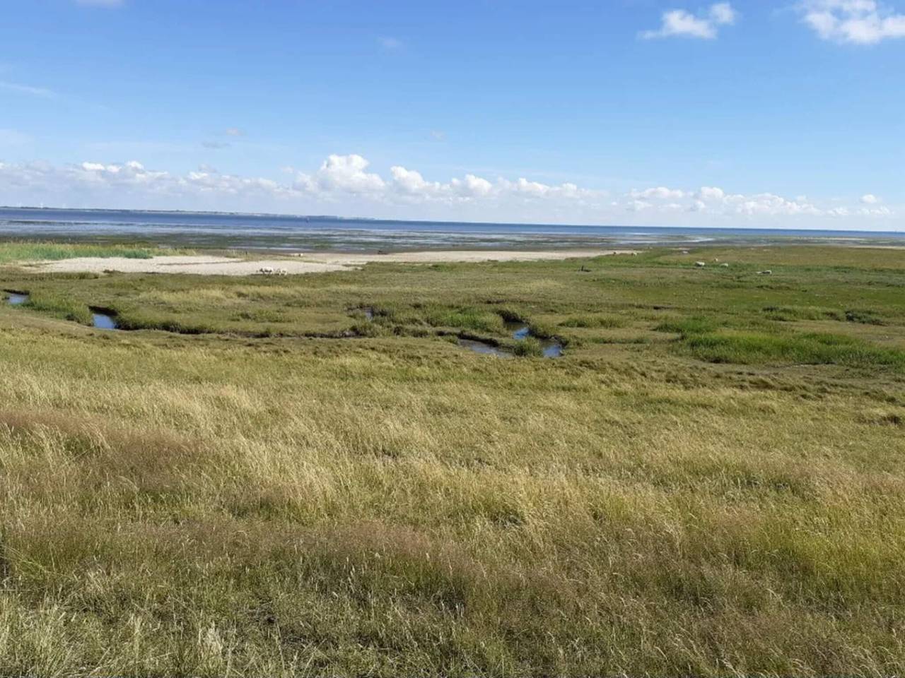 25 Personen Ferienhaus in Rømø in Sønderstrand, Tagholm