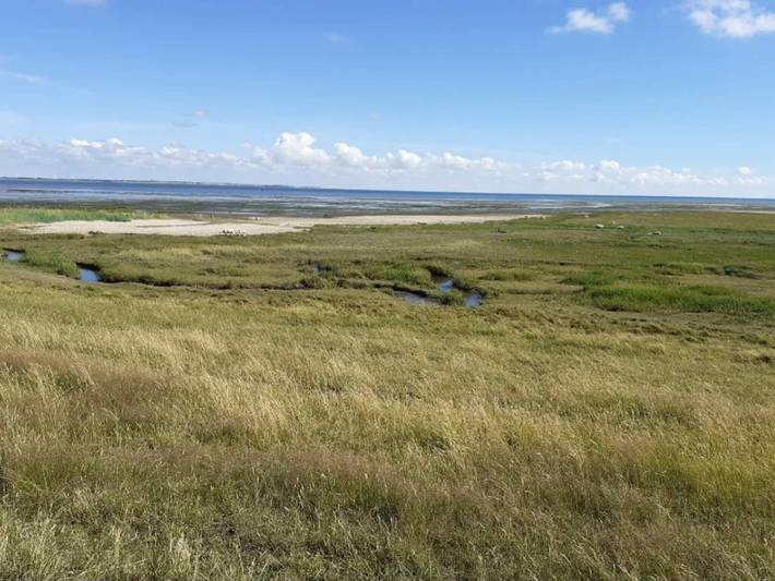 Ferienhaus für 25 Personen, mit Pool und Terrasse, kinderfreundlich auf Rømø - 4