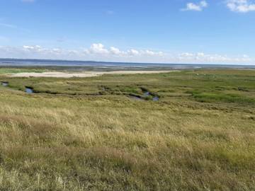 Ferienhaus für 25 Personen in Sønderstrand, Havneby, Bild 3