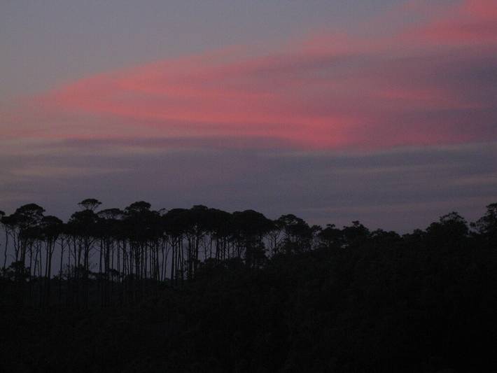 Vacation rental for 6 people, with yard the Florida Panhandle