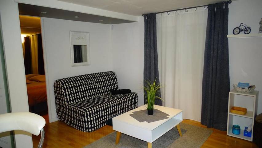 Gîte pour 4 personnes, avec jardin et vue à Bry-sur-Marne - 3