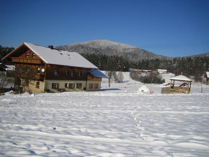 Ferienhaus für 6 Personen, mit Garten, mit Haustier in Arnbruck - 2