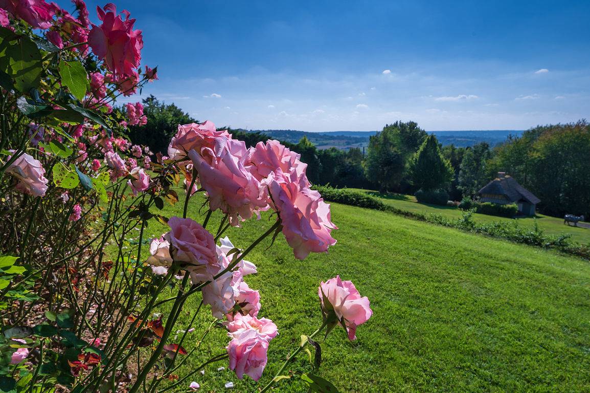 Auge Horizon : chambres d'hôtes avec terrasses privées - Chambre 2 in Saint-Benoît-d'Hébertot, Région de Lisieux
