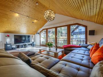 Ferienhaus für 20 Personen, mit Sauna und Terrasse sowie Garten und Whirlpool, mit Haustier in Feldberg