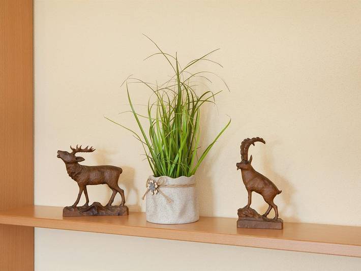 Ferienwohnung für 4 Personen, mit Balkon und Ausblick sowie Seeblick am Forggensee - 4