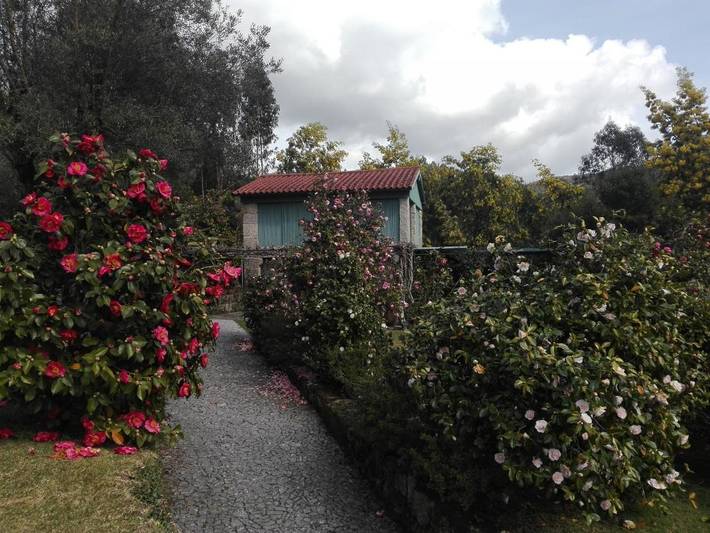 Location de vacances pour 2 personnes, avec Terrasse et Jardin ainsi que Piscine et Vue dans Briteiros - 3